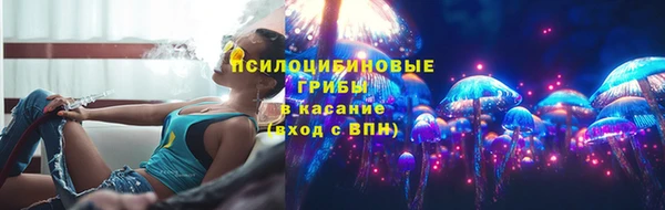 ГАЛЛЮЦИНОГЕННЫЕ ГРИБЫ Гусиноозёрск