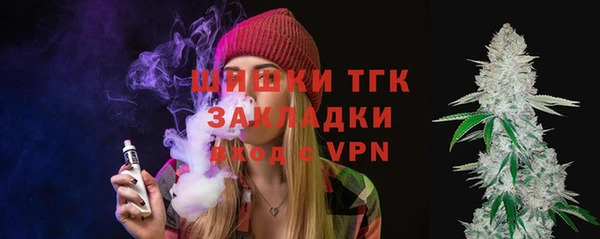 ALPHA PVP Няндома