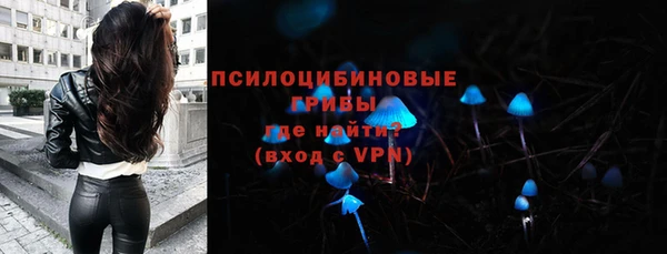 ALPHA PVP Няндома