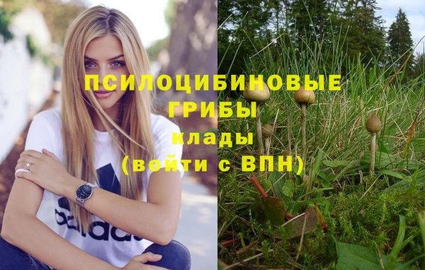 альфа пвп Горнозаводск
