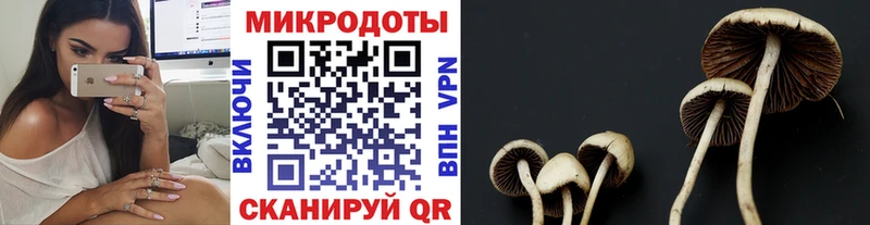 продажа наркотиков  Кореновск  Псилоцибиновые грибы Cubensis 