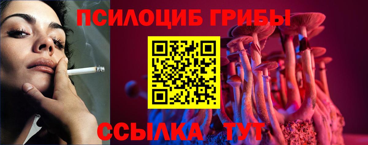 даркнет сайт  Вход с VPN  Псилоцибиновые грибы Psilocybe  Кореновск  Галлюциногенные грибы ЛСД 